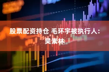 股票配资持仓 毛环宇　　被执行人：吴素林