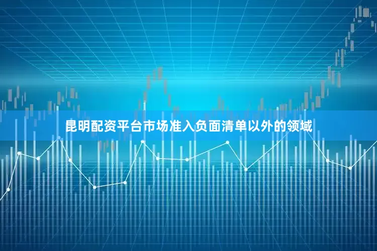 昆明配资平台市场准入负面清单以外的领域