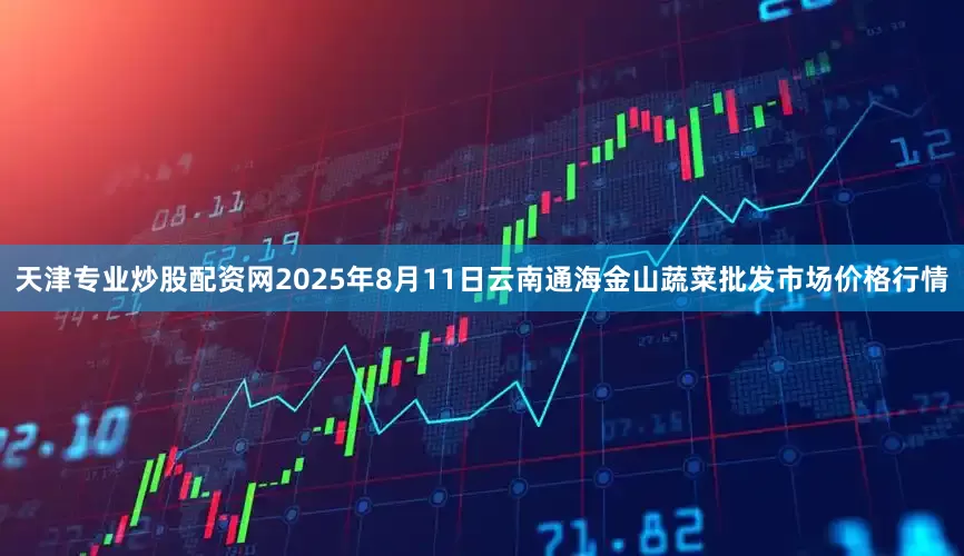 天津专业炒股配资网2025年8月11日云南通海金山蔬菜批发市场价格行情