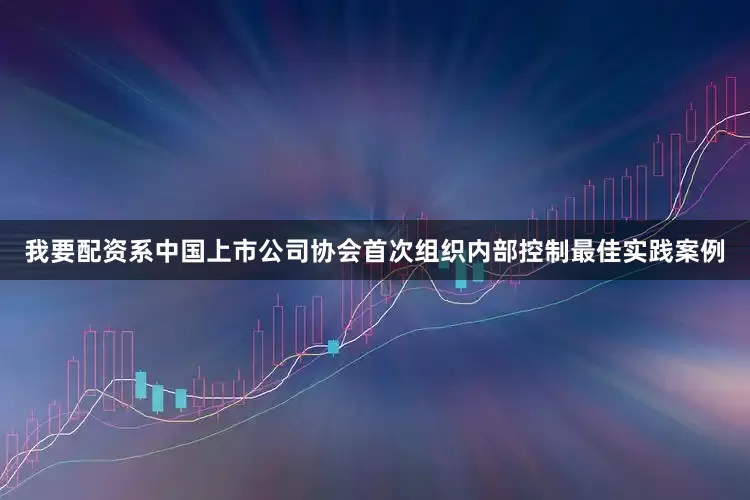 我要配资系中国上市公司协会首次组织内部控制最佳实践案例