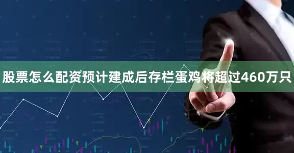 股票怎么配资预计建成后存栏蛋鸡将超过460万只